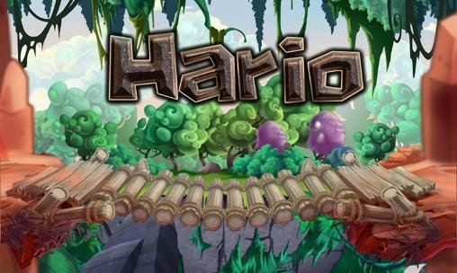 game pic for New Hario world